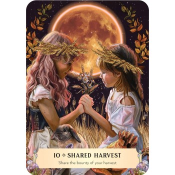 Friendship Oracle kortos Rockpool Publishing
